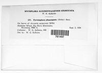 Image Associated With the Occurence
